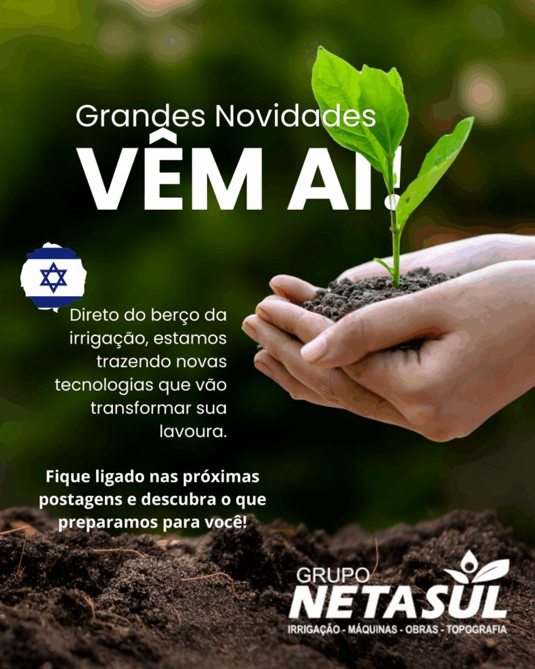 netasul (3)